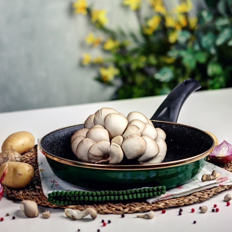 Metalac tiganj GRANIT INDUCTION ZELENI BOR 24 cm